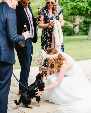 In celebration of the four legged friends who have been a big part of the wedding days for many of my couples. As a dog owner (and animal lover) I'm always very happy when one of my couples chooses to include their pooch in the wedding day plans. ⁠
⁠
Sometimes they have an active role, other times they are just there for part of the day. Either way, I'm always happy to have a cuddle and hang out with the doggies.